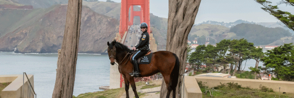 San Francisco Police Department Reports Largest Recruit Surge in Five Years